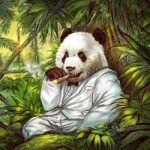老虎机怎么玩才能赢?用实验证明揭秘老虎机RTP变化 36 AG发财熊猫技巧:5轴4行老虎机的关键赢分窍门策略